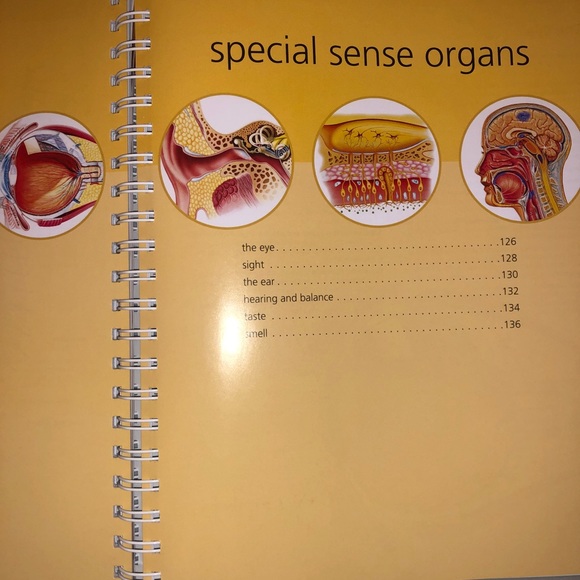 🫀 ⚕️Barron's The Anatomy Student's Self-Test Visual Dictionary Book Interactive - Picture 3 of 9